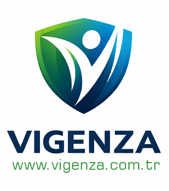 Vigenza Logo